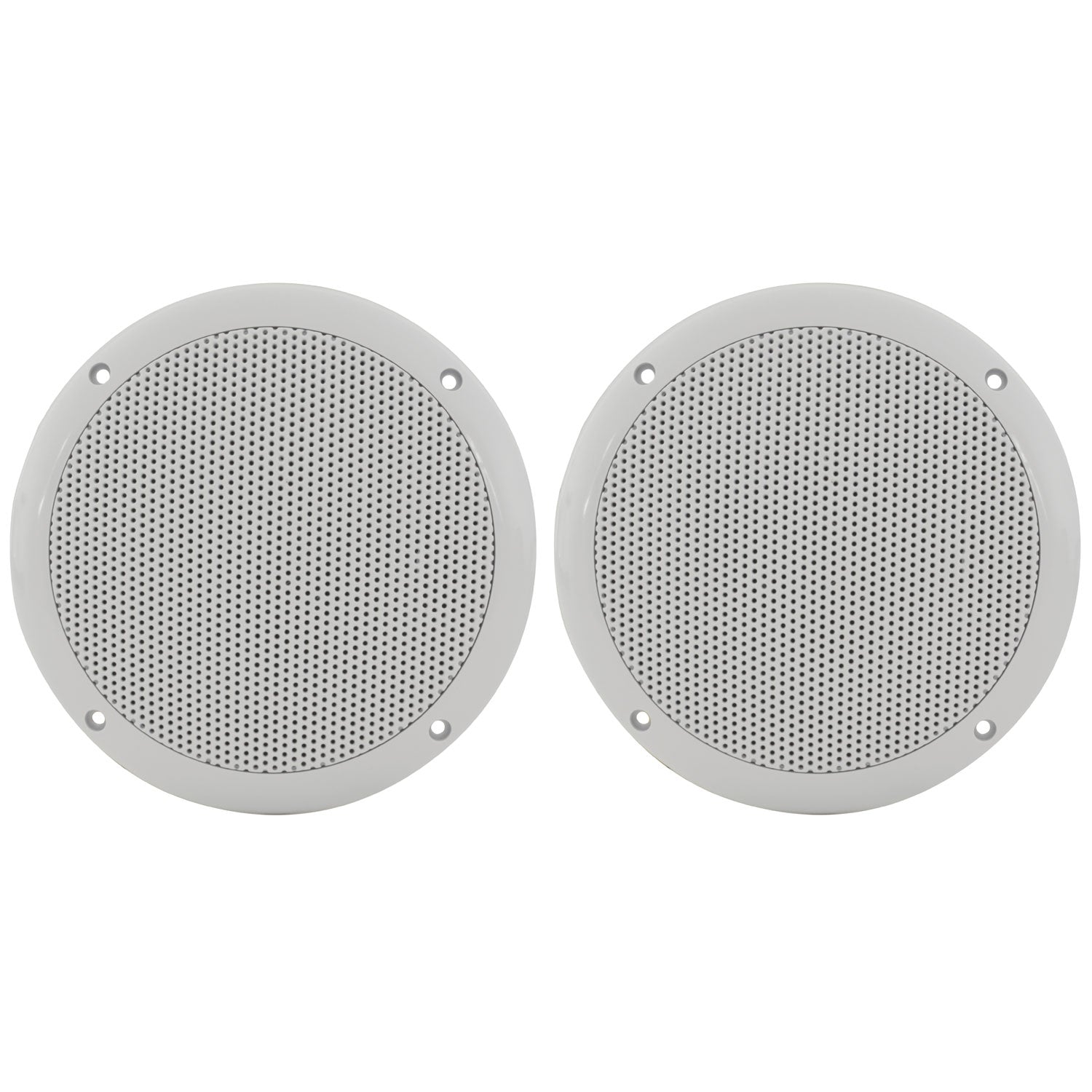 0D6 - W8 Water resistant speaker, 16.5cm (6.5"), 100W max, 8 ohms, White - Apollo Music School