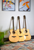 Sevinia Solid Body Orchestra Model Electro - Acoustic Guitar - Apollo Music School