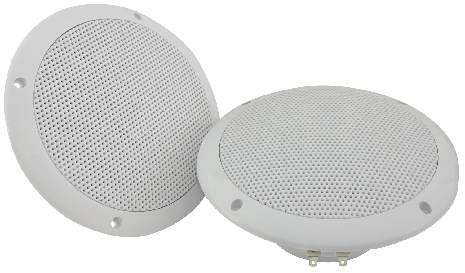 0D6 - W8 Water resistant speaker, 16.5cm (6.5"), 100W max, 8 ohms, White - Apollo Music School