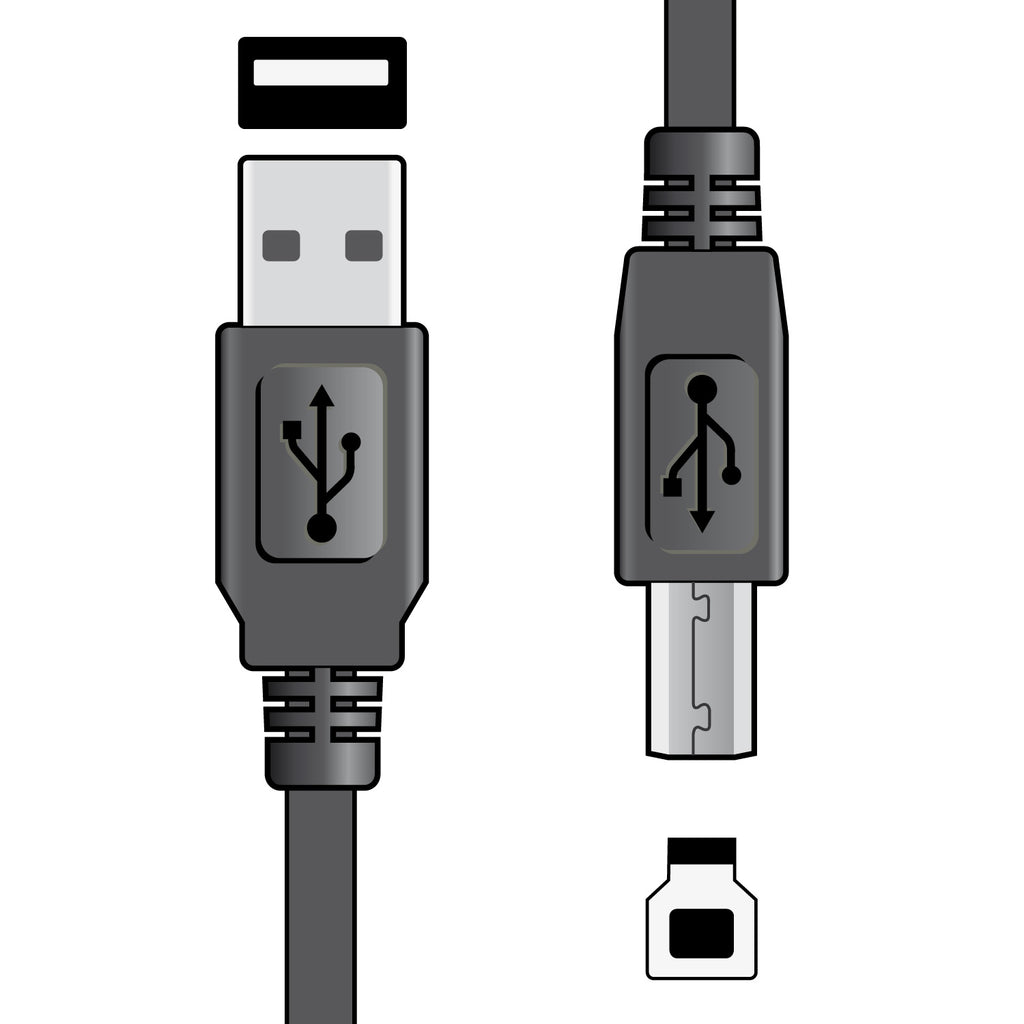 USB 2.0 type A plug to type B plug lead 1.5m - Apollo Music School