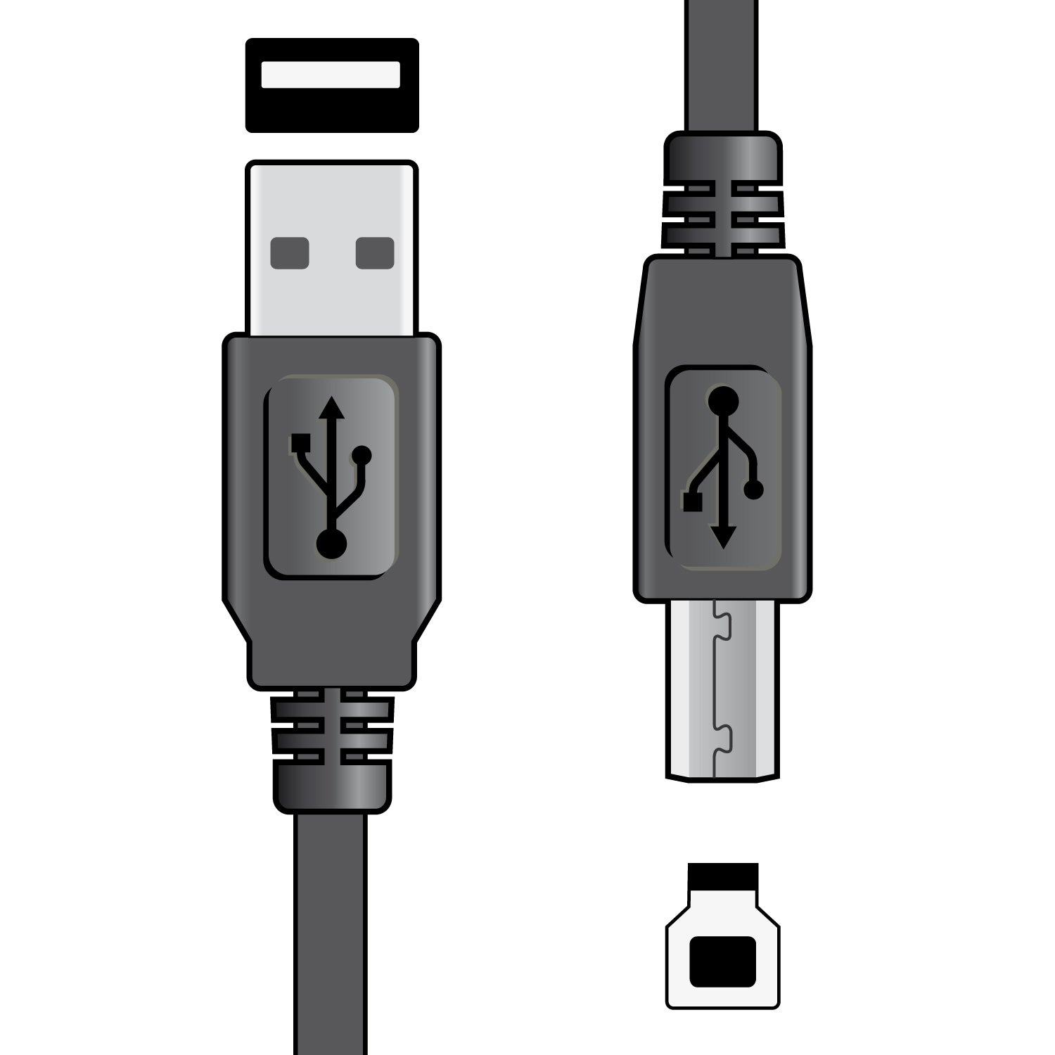 USB 2.0 type A plug to type B plug lead 1.5m - Apollo Music School