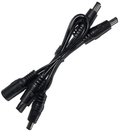 1 to 4 DC Daisy Chain Cable - Apollo Music School