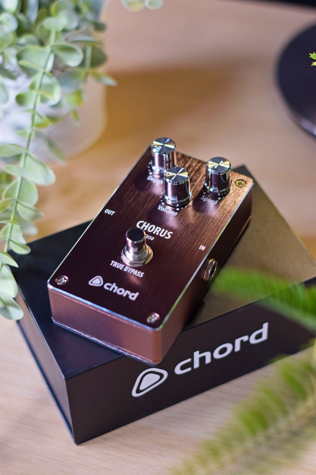 CH - 50 Guitar Chorus Effect Pedal - Apollo Music School