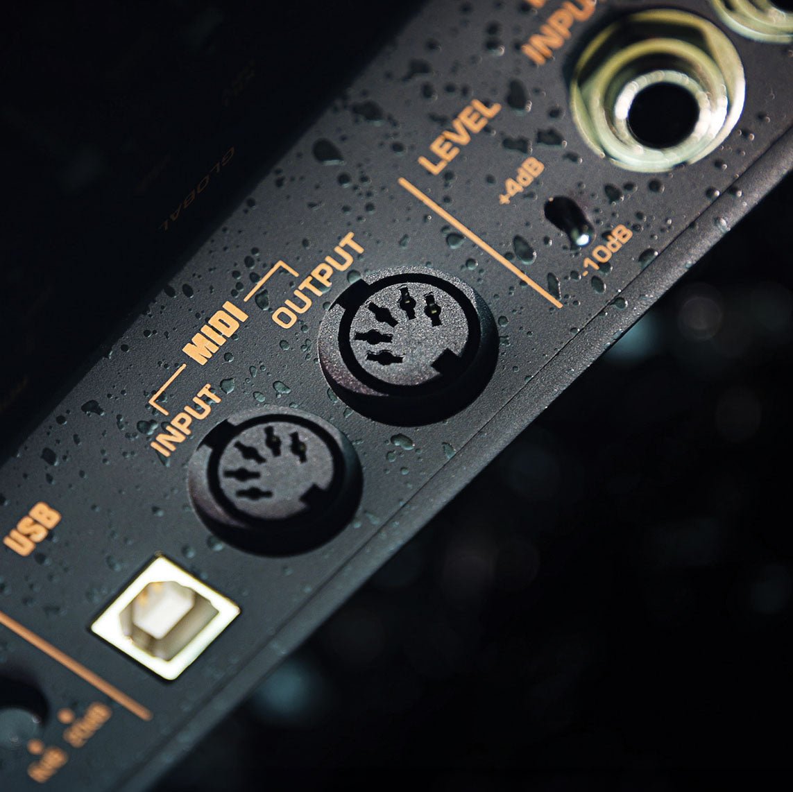 Cerberus Guitar Effect Pedal - Apollo Music School