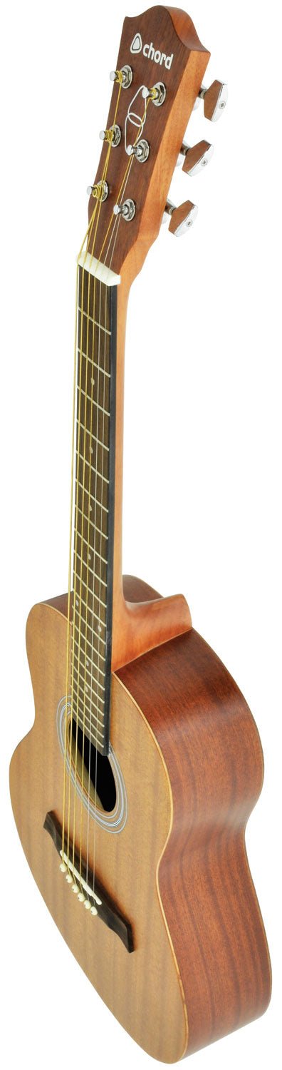 Sapele compact acoustic guitar - Apollo Music School