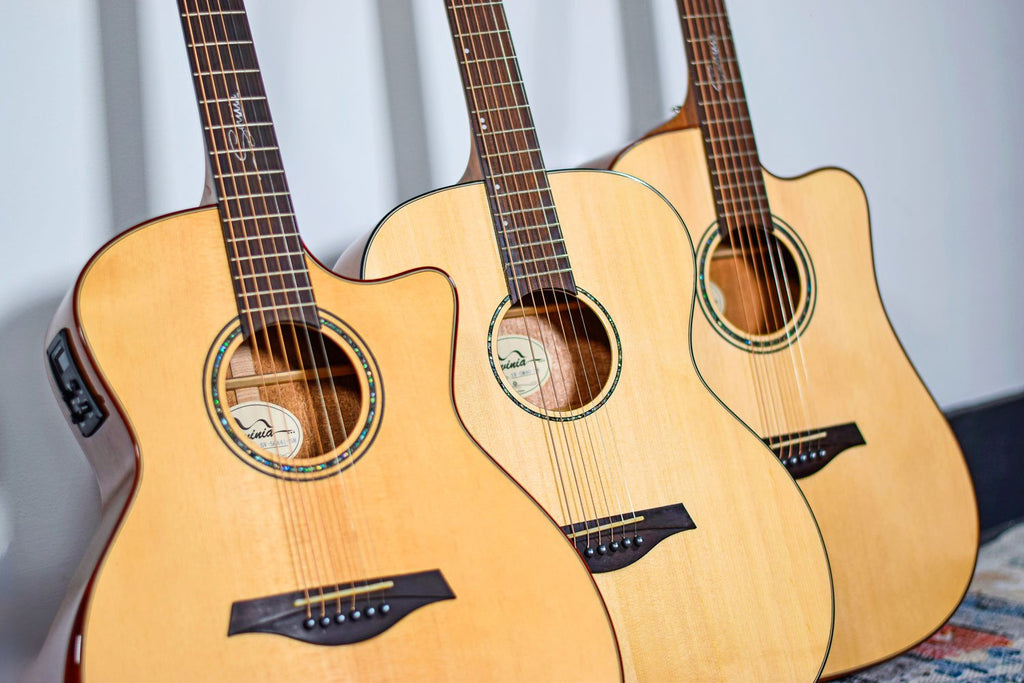 Sevinia Solid Body Orchestra Model Electro - Acoustic Guitar - Apollo Music School