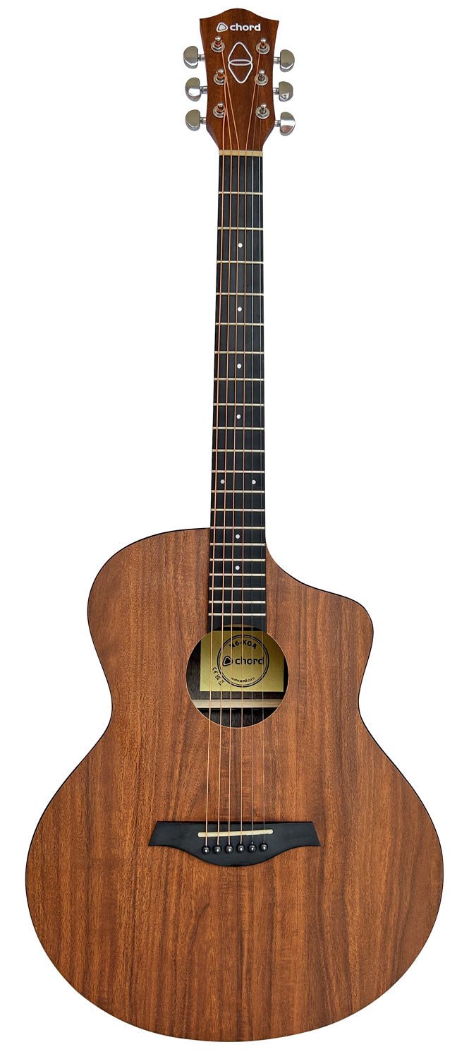 Nomad Electro - Acoustic Guitar Koa - Apollo Music School