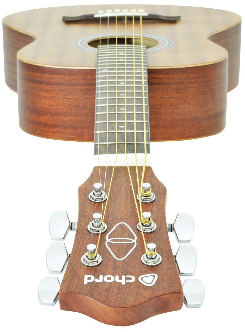 Sapele compact acoustic guitar - Apollo Music School